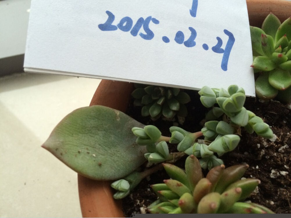 QQ��ͼ20150227130659.jpg