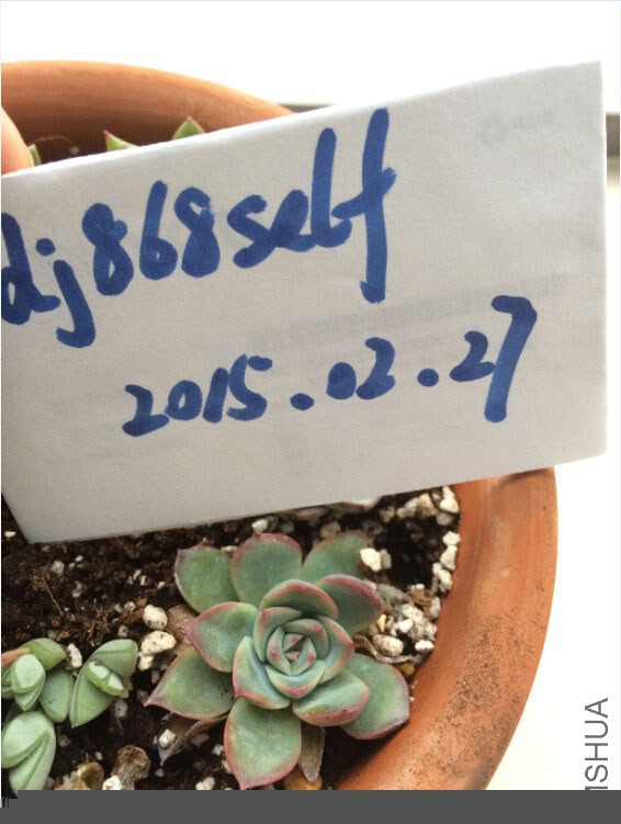 QQ��ͼ20150227130806.jpg