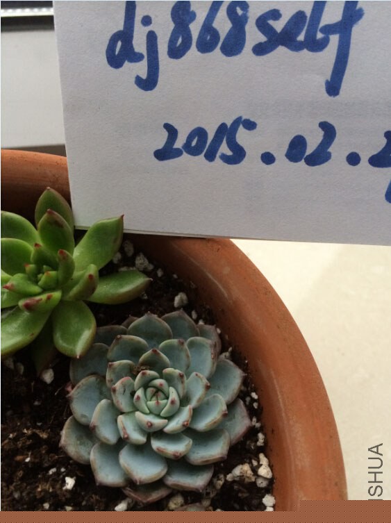 QQ��ͼ20150227130752.jpg