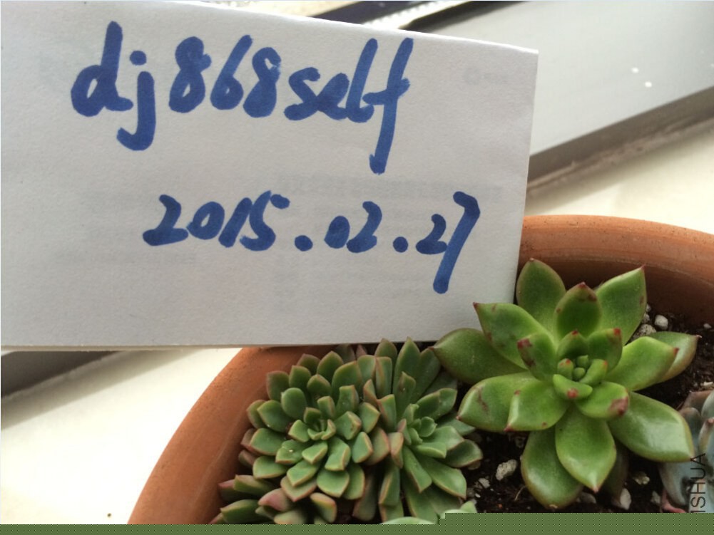 QQ��ͼ20150227130726.jpg