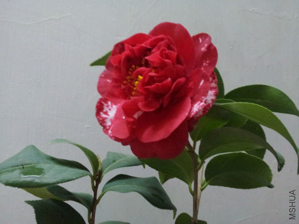 20150226_230523.jpg