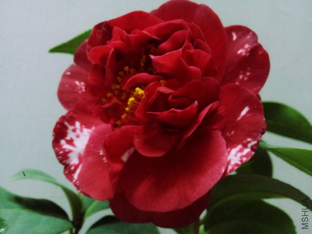 20150226_230619.jpg