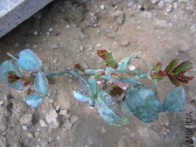 IMG_7740.JPG