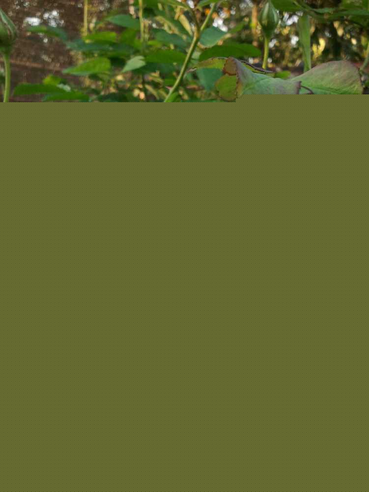 2015-02-27 17.43.23-1.jpg