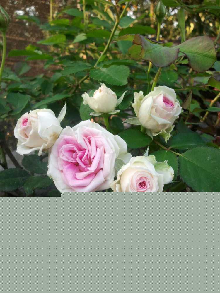 2015-02-27 17.43.23-1.jpg