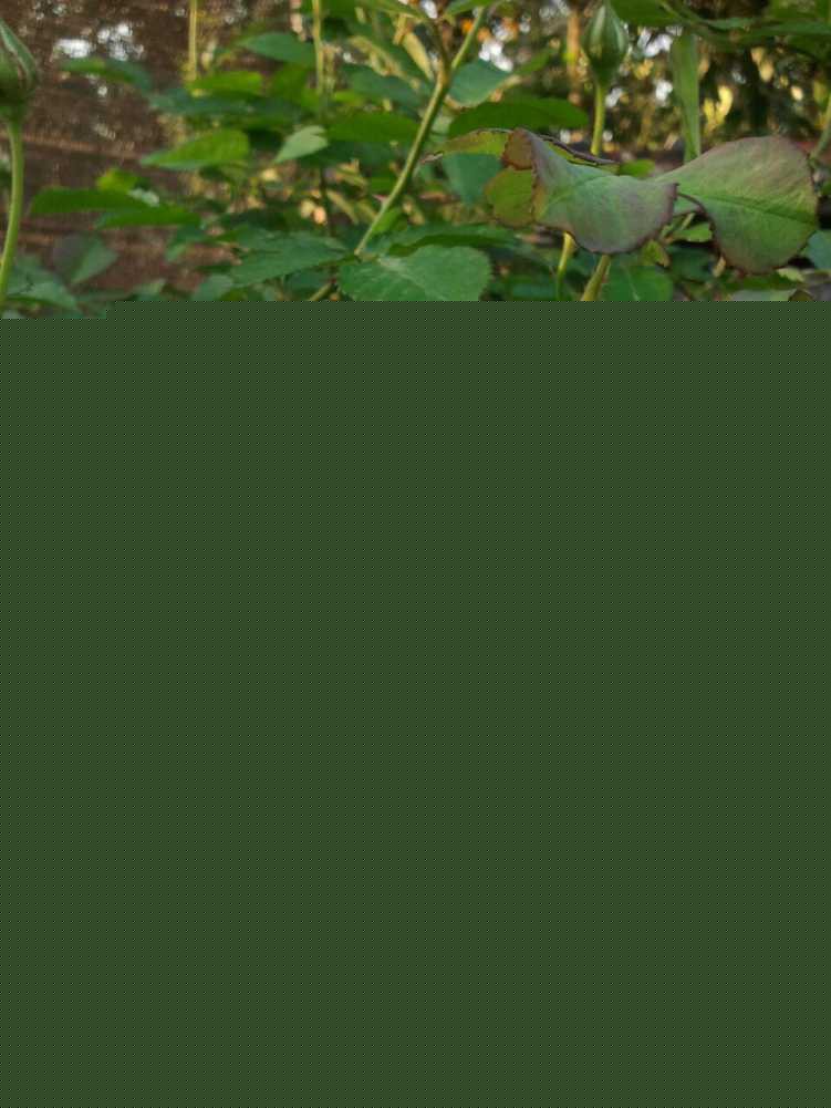 2015-02-27 17.43.23-1.jpg