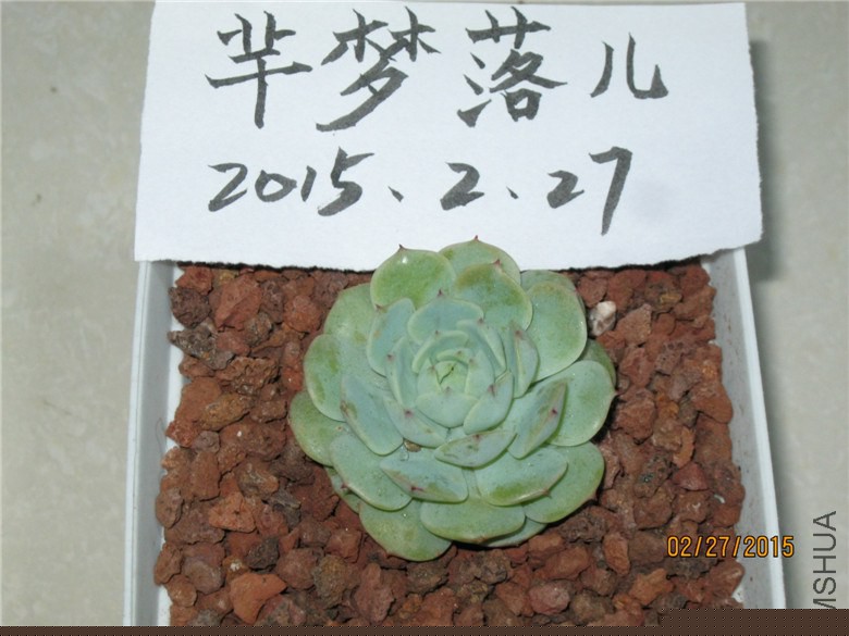 ��ҹ5CM+30���ѳ���
