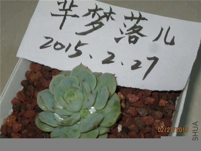 ��ҹ5CM+����ѿ��36