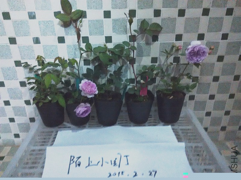 �꼧���D�꼧�⻷��.jpg