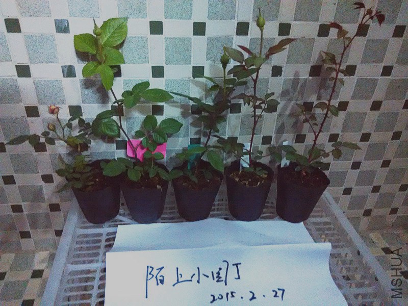 �꼧������������.jpg
