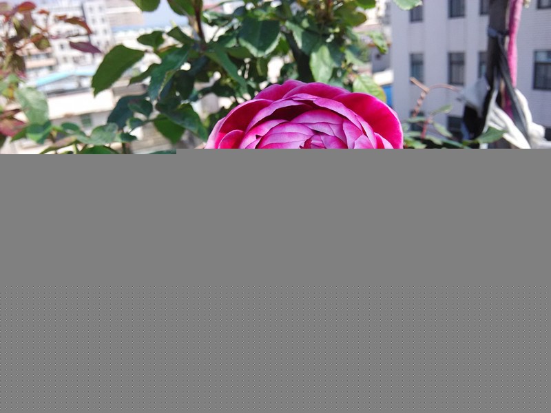 IMG_20150106_112826.jpg