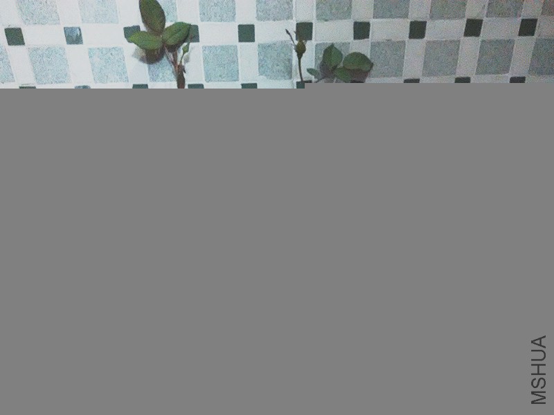 �꼧���D�꼧�⻷��.jpg