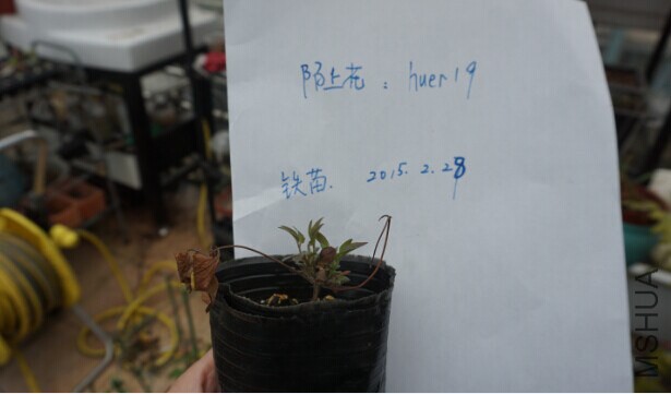 QQͼƬ20150228161728.jpg