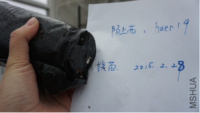 QQͼƬ20150228161742.jpg