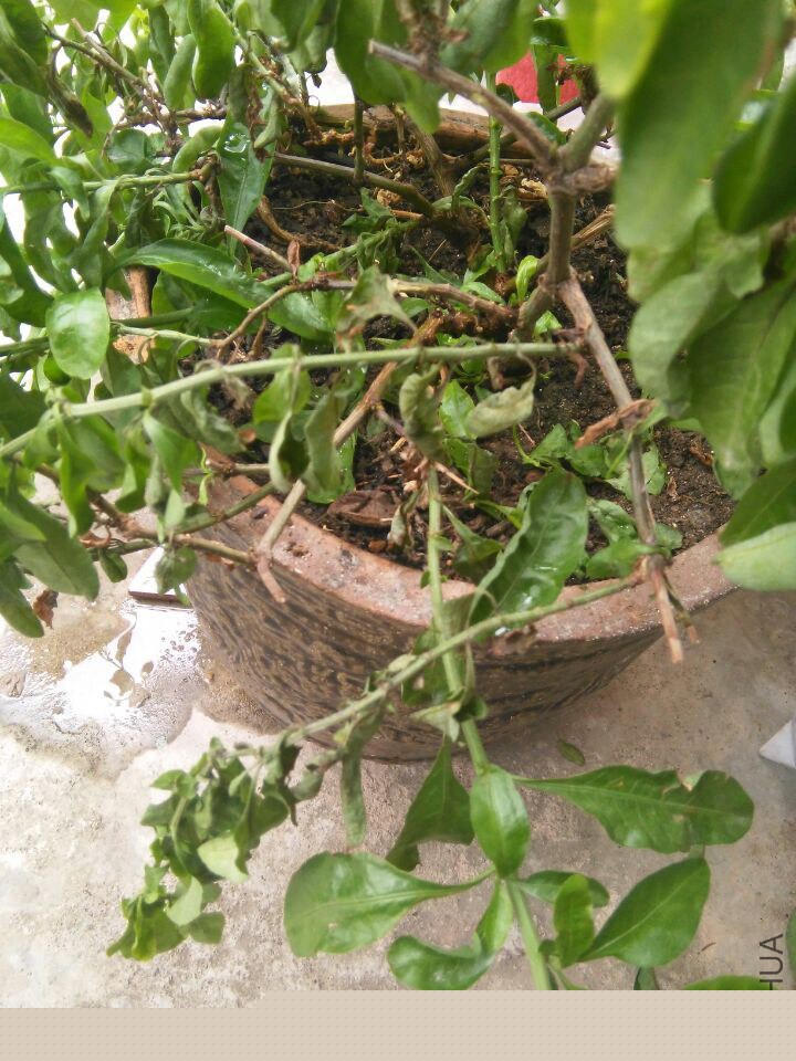 QQͼƬ20150227161711.jpg