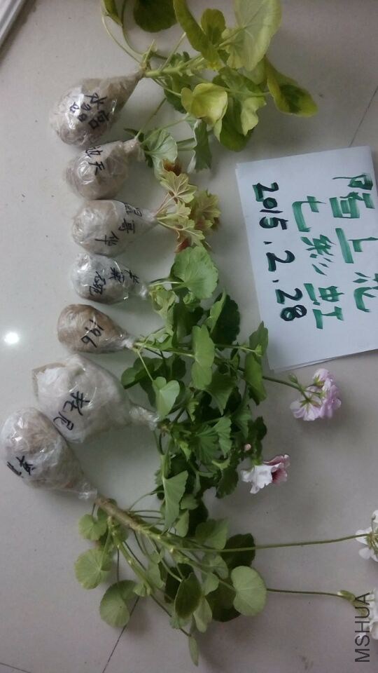 QQͼƬ20150228204700.jpg