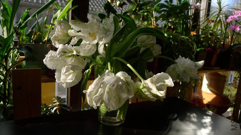 P1070848_����_����.jpg