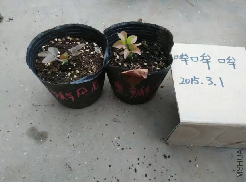 �ذ굤��.jpg
