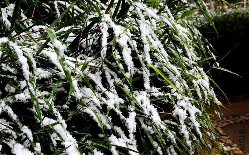 psb (32)_����.jpg