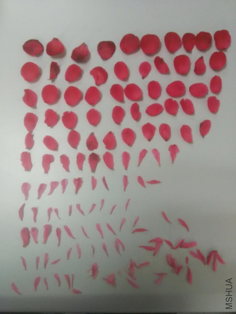 �൤