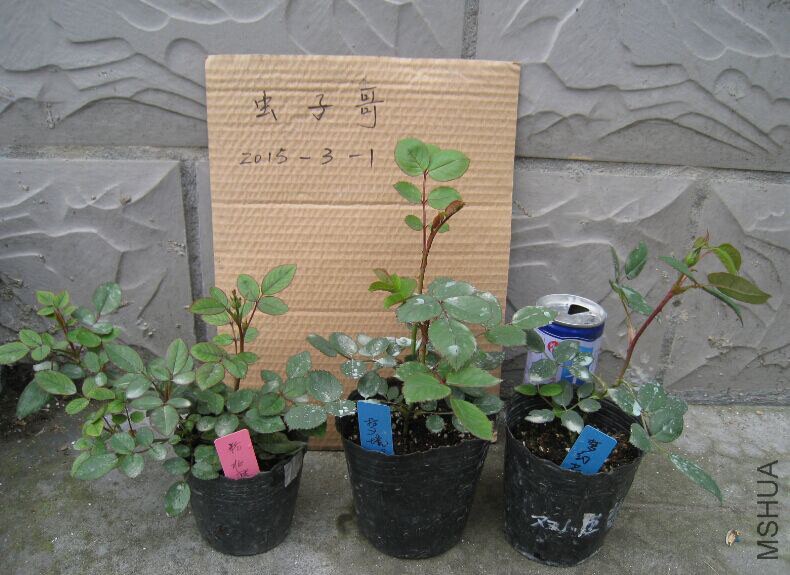 QQͼƬ20150301141743.jpg