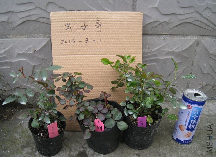 QQͼƬ20150301141821.jpg