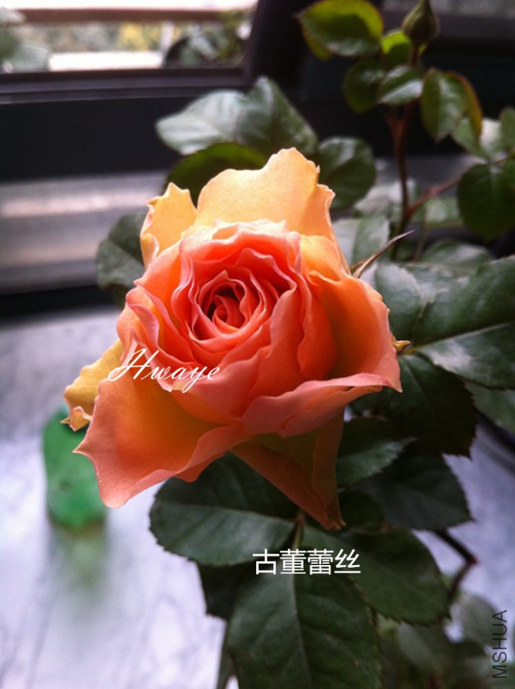 014_����_����.jpg