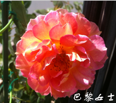 QQ��ͼ20141010221447.png