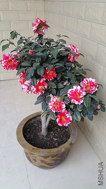 20150301_161005_����.jpg