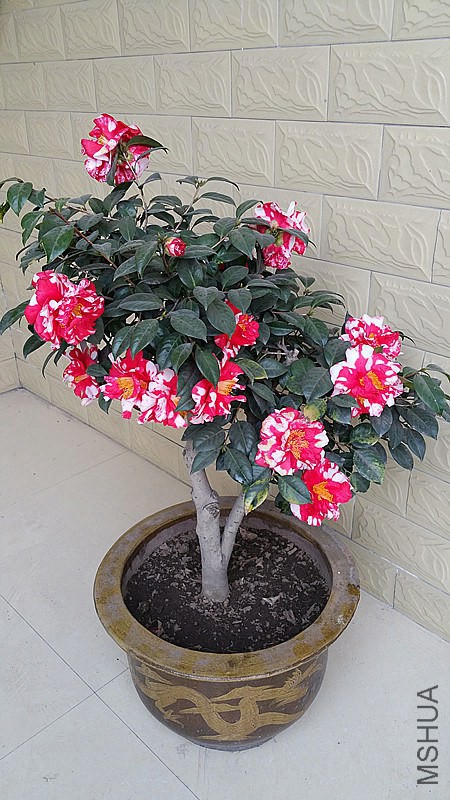 20150301_161058_����.jpg