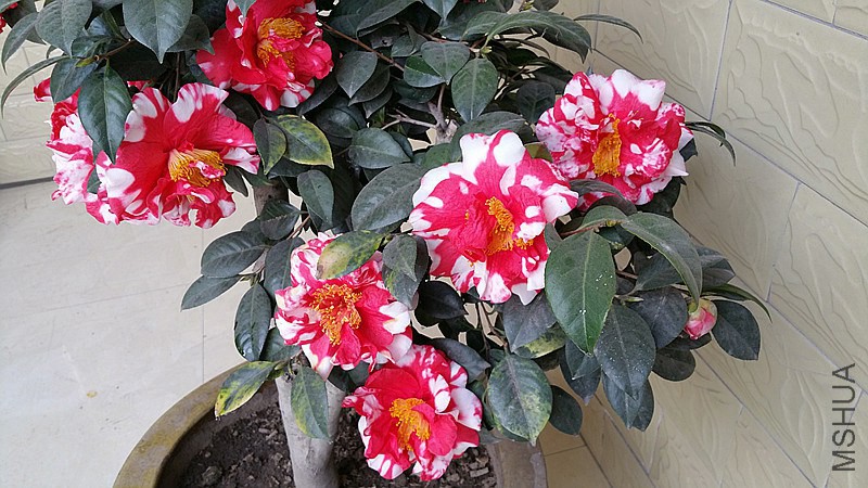 20150301_161203_����.jpg