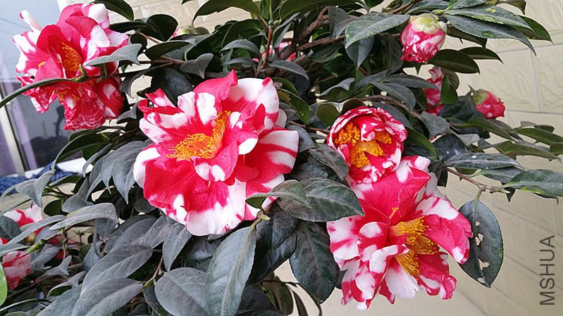 20150301_161325_����.jpg