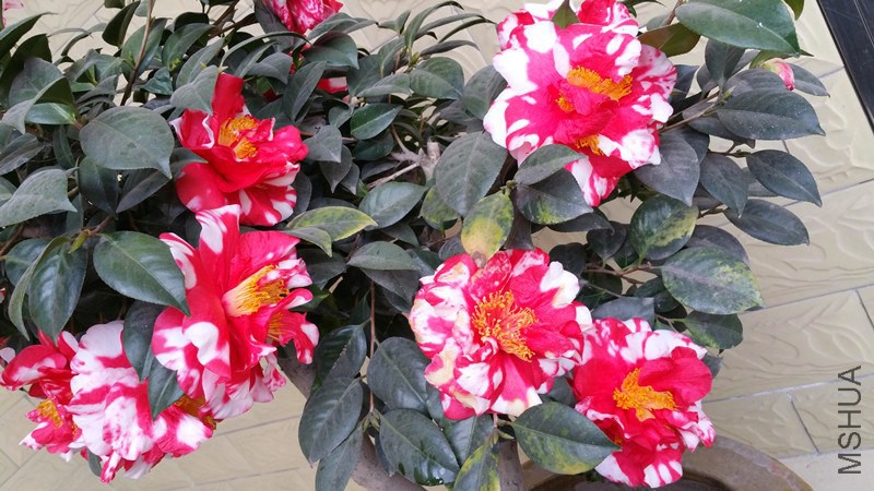 20150301_161412_����.jpg