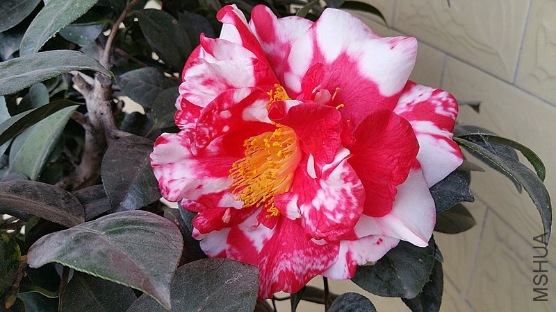20150301_161436_����.jpg