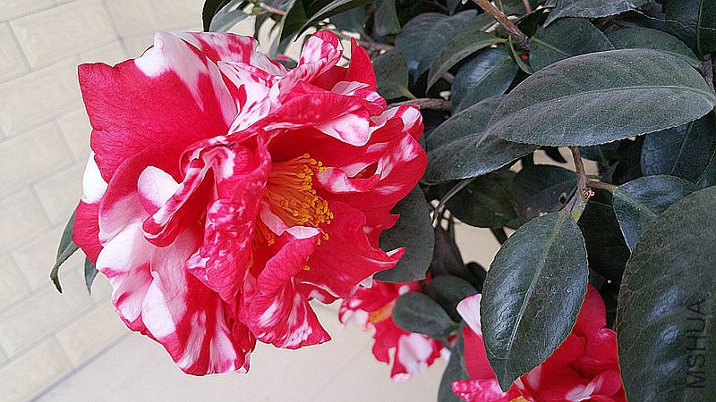 20150301_161456_����.jpg