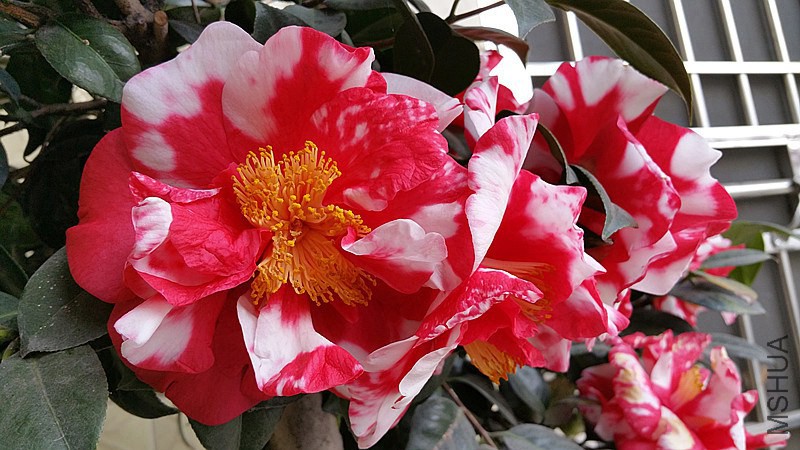 20150301_161539_����.jpg