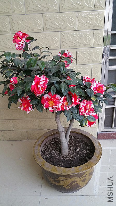 20150301_161612_����.jpg