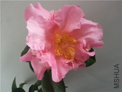 20150301_165718.jpg