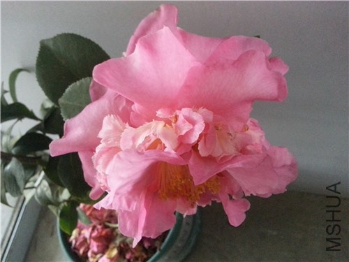 20150301_165722.jpg