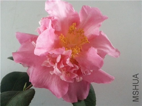 20150301_165727.jpg