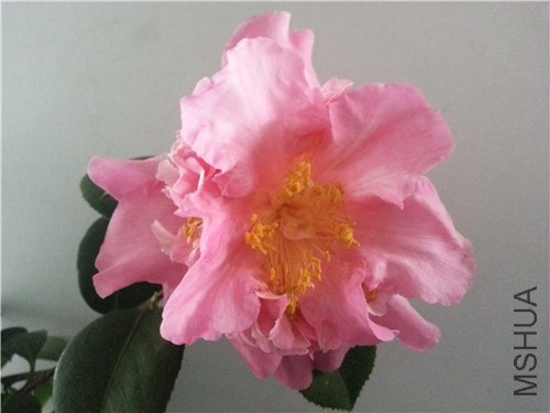20150301_165738.jpg