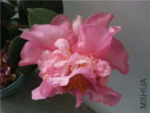 20150301_165747.jpg