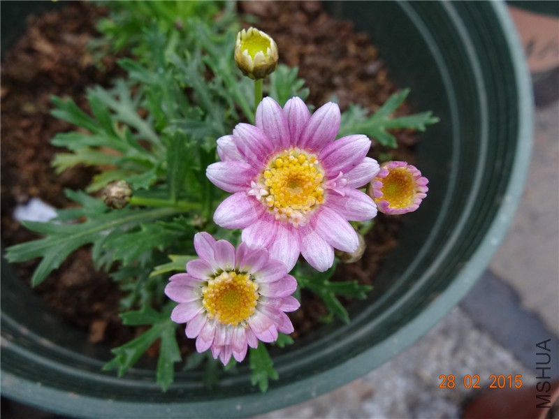 DSC06726.jpg