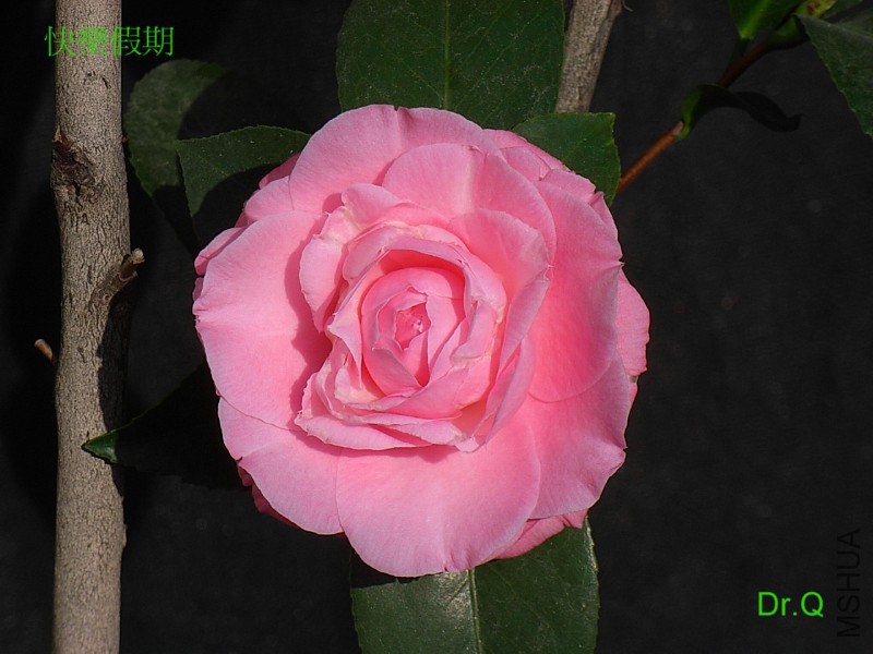 6-�옷����.JPG