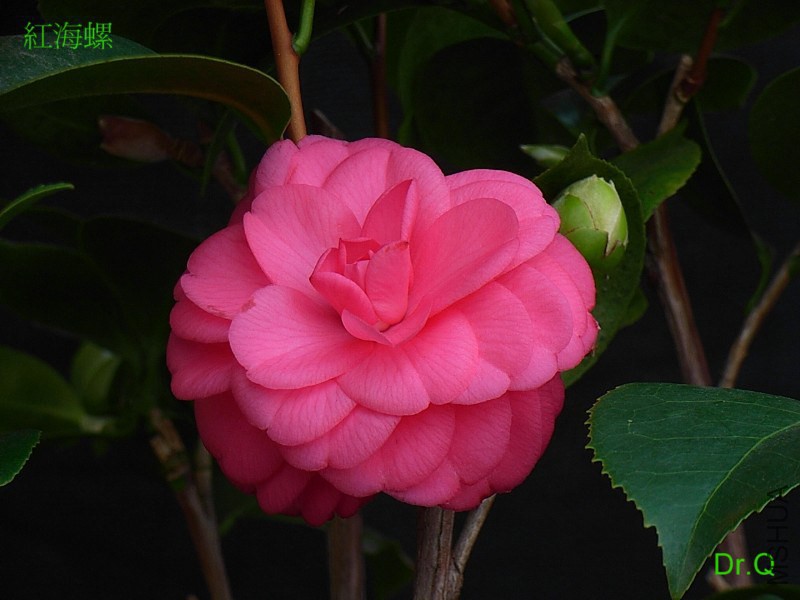 8.�t����.JPG