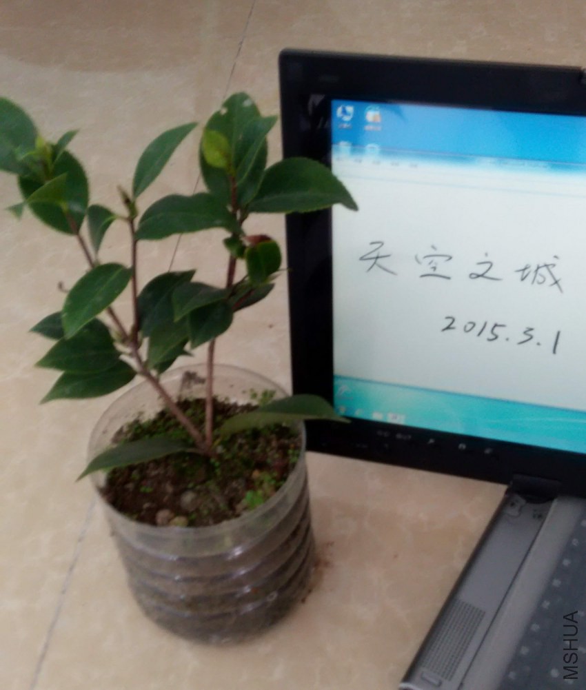 ��֪���軨2��.jpg