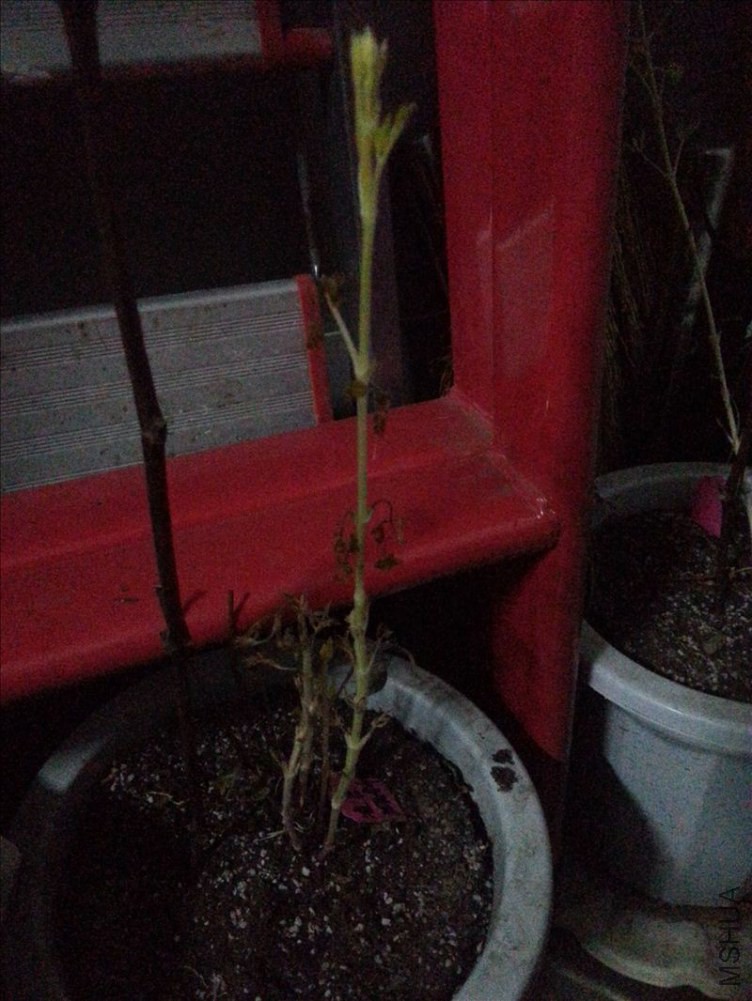 20150301_075538.jpg