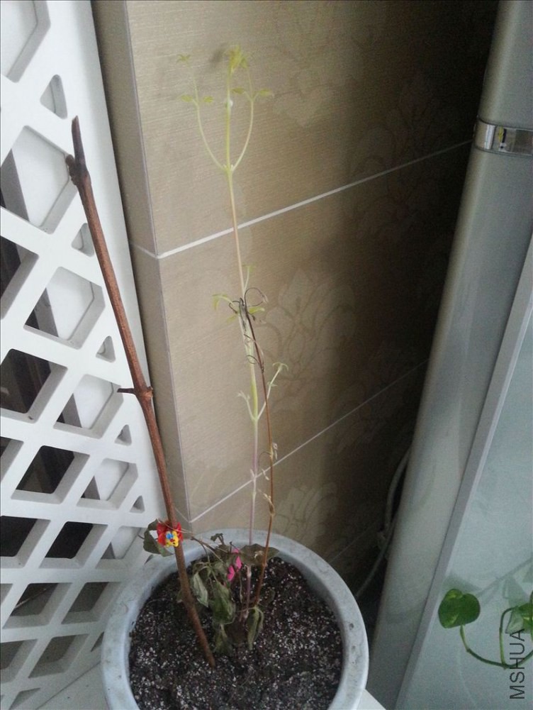 20150301_080733.jpg