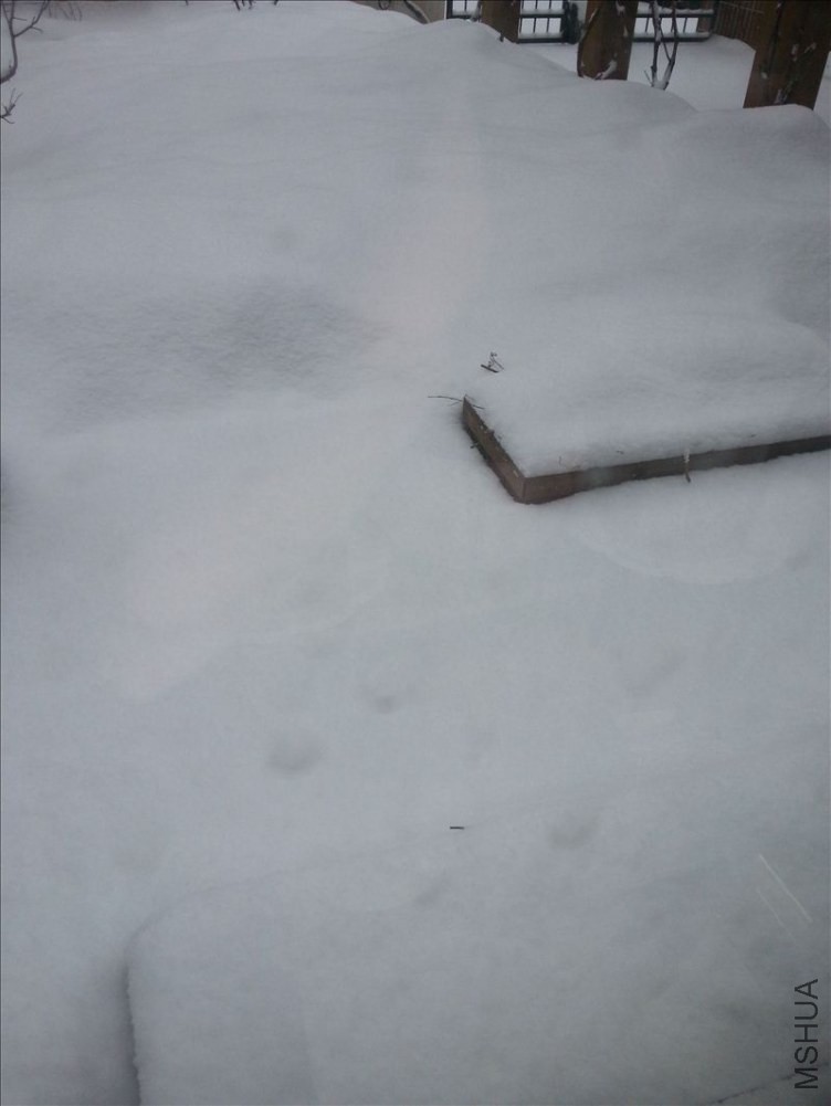 20150301_081011.jpg