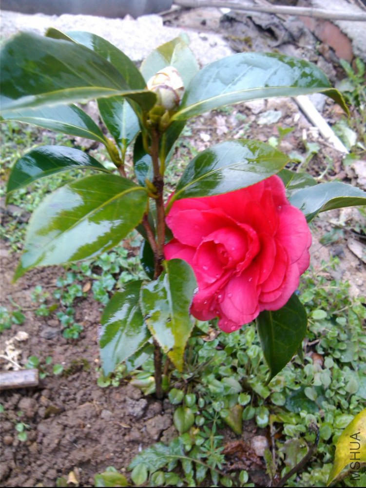 IMG_20150215_082229.jpg